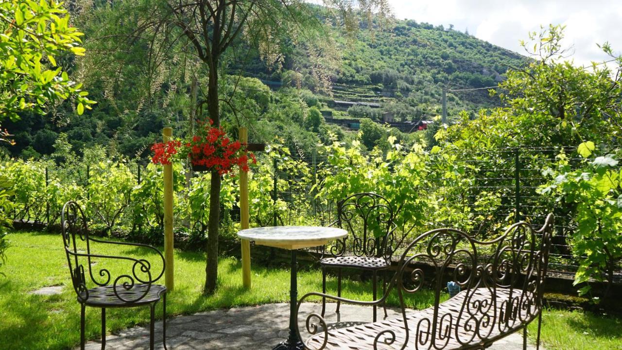 La Libellula Rossa Bed & Breakfast Erli Bagian luar foto