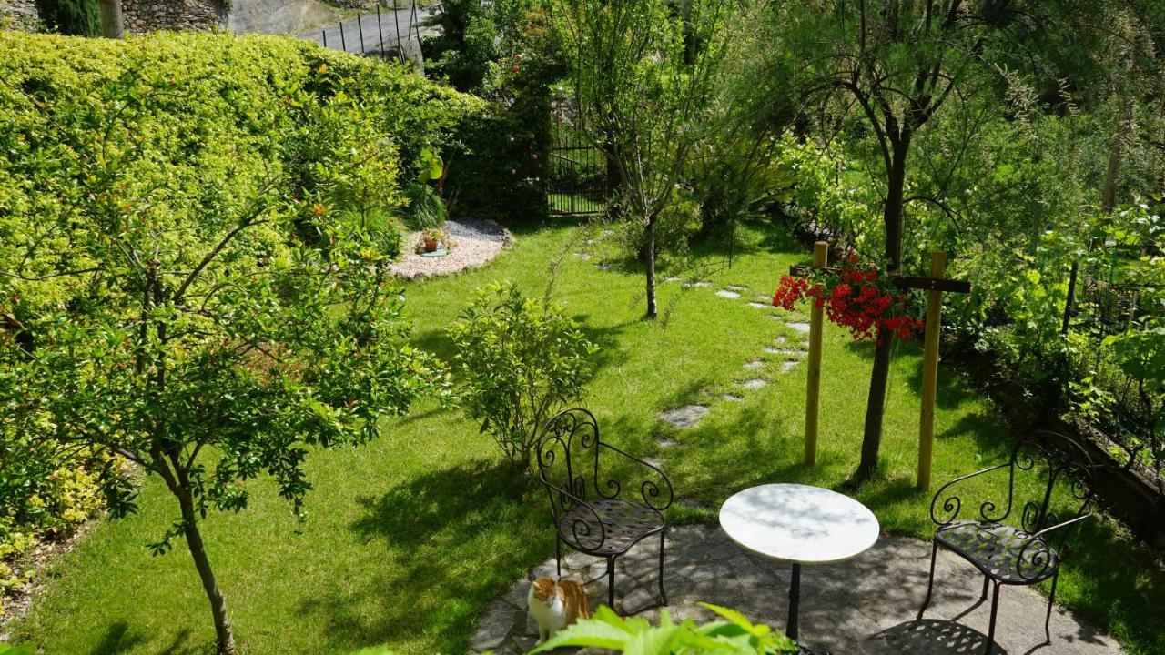 La Libellula Rossa Bed & Breakfast Erli Bagian luar foto